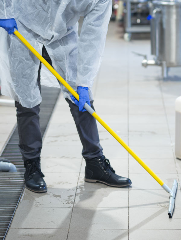 professional-industrial-cleaner-protective-uniform-cleaning-floor-food-processing-plant